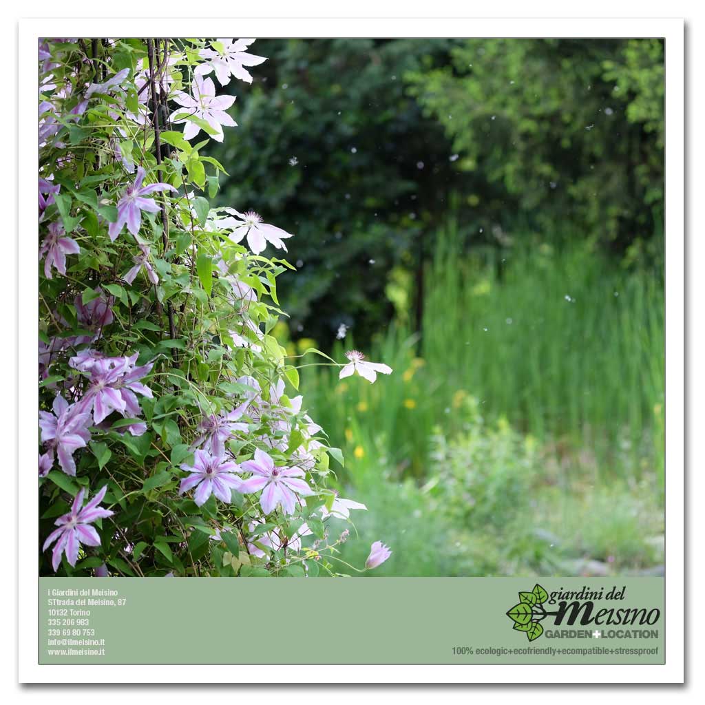 giardini meisino location torino 142